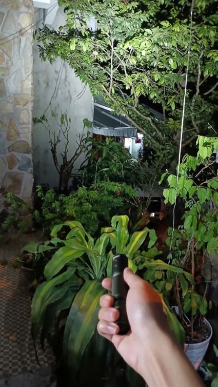 510465526_1281493177315750_2402826781636246070_n