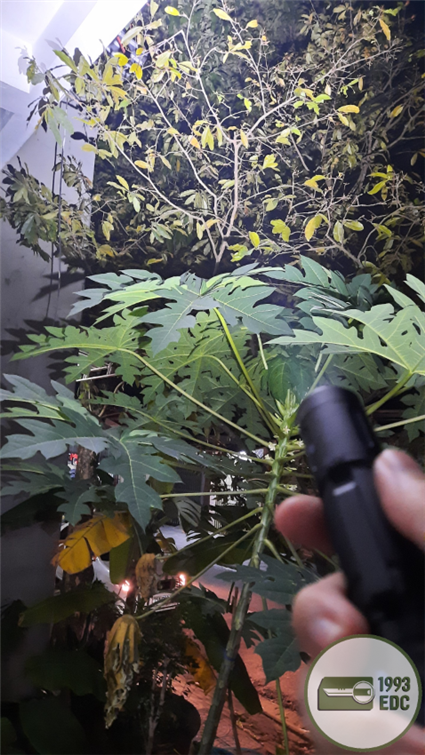 z3855747326470_8ef68e34a46622d64cccdd86ec9d7afd