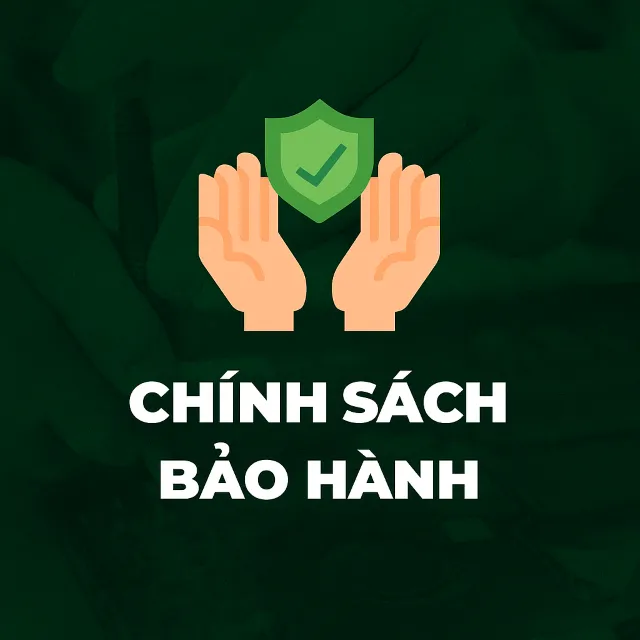 Chính sách bảo hành